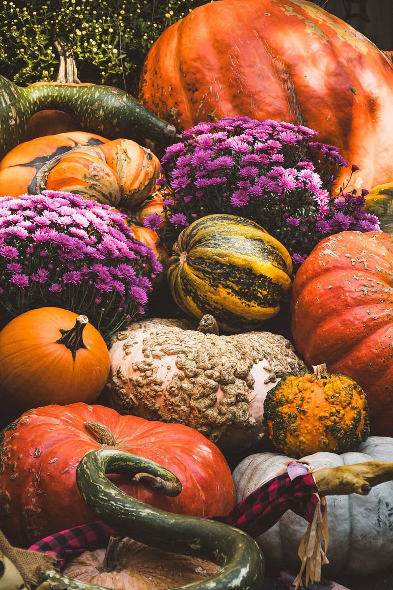 Harvest Enchanted Bounty