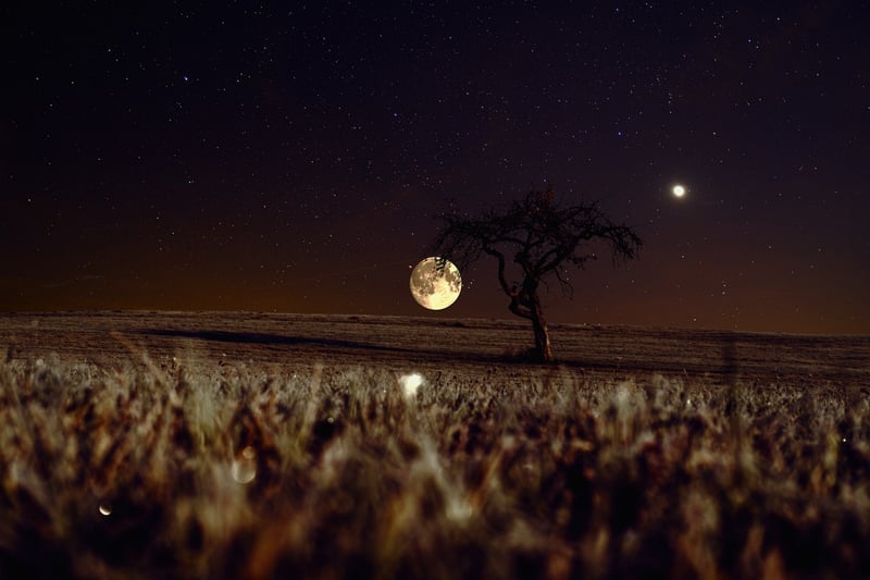 Harvest Moon Rituals
